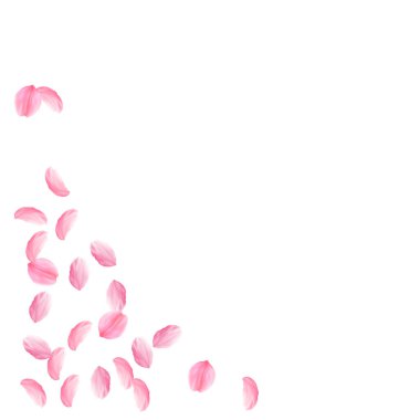 Sakura yaprakları dökülüyor. Romantik pembe ipeksi ben