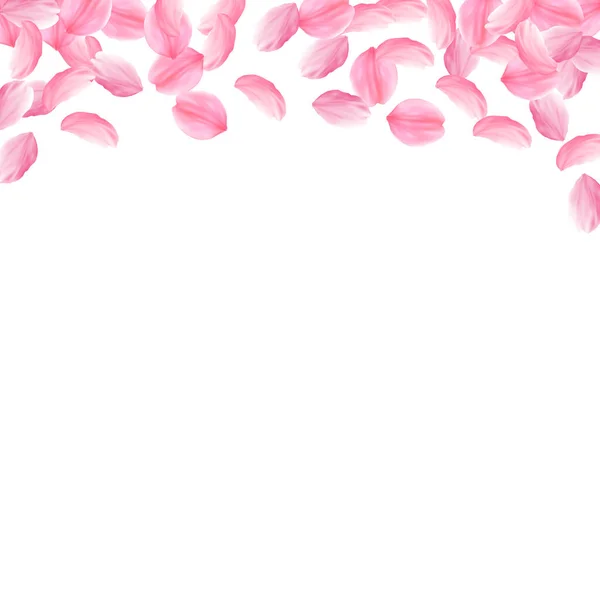Лепестки Сакуры падают. Розовый яркий b — стоковый вектор