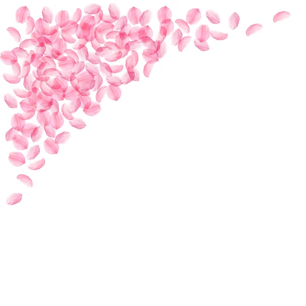 Лепестки Сакуры падают. Романтический розовый шелковистый я — стоковый вектор