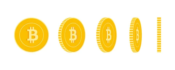 Bitcoin, zestaw monet walut internetowych, animacja re — Wektor stockowy