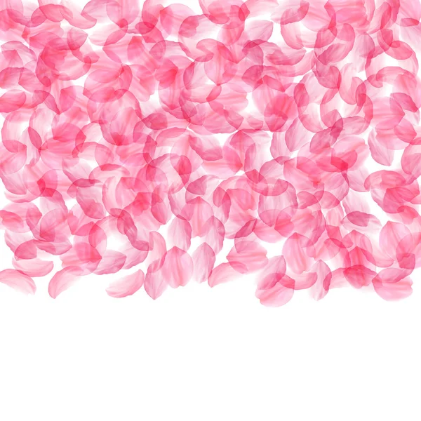Sakura yaprakları dökülüyor. Romantik pembe ipeksi biseksüel — Stok Vektör