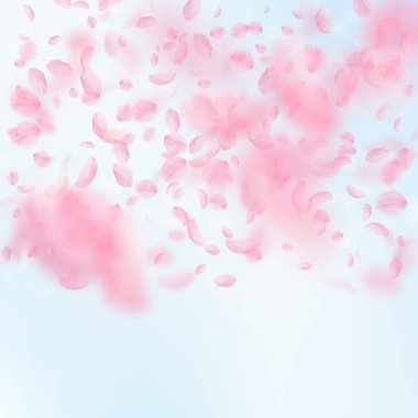 Sakura yaprakları dökülüyor. Romantik pembe çiçekler 