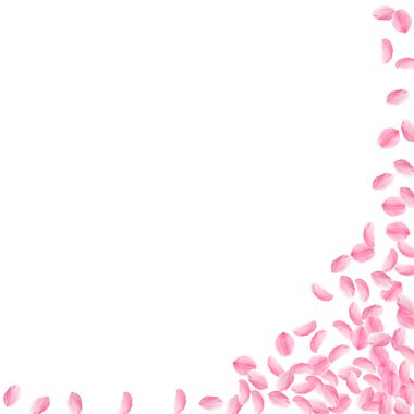 Sakura yaprakları dökülüyor. Romantik pembe parlak m