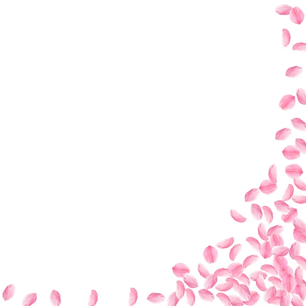 Pétalos Sakura cayendo. Romántico rosa brillante m — Vector de stock