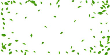 Düşen yeşil yapraklar. Taze çay. Karmaşık yapraklar.