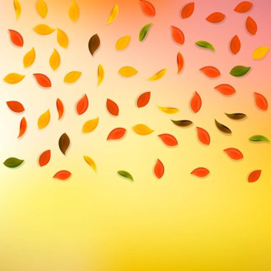 Sonbahar yaprakları dökülüyor. Kırmızı, sarı, yeşil, kahverengi...