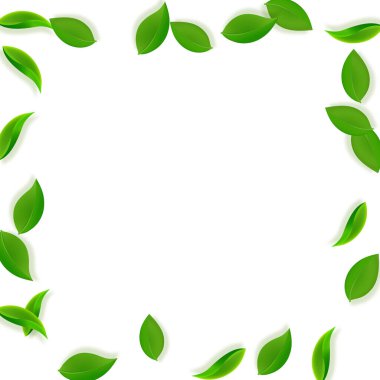 Düşen yeşil yapraklar. Taze çay, temiz yapraklar uçuşuyor.