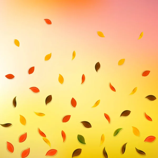 Feuilles d'automne tombantes. Rouge, jaune, vert, brun r — Image vectorielle