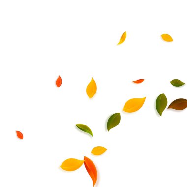 Sonbahar yaprakları dökülüyor. Kırmızı, sarı, yeşil, kahverengi c