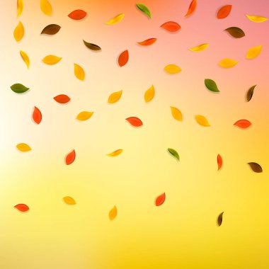 Sonbahar yaprakları dökülüyor. Kırmızı, sarı, yeşil, kahverengi...