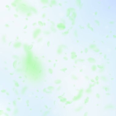 Yeşil çiçek yaprakları dökülüyor. Muhteşem Romanti.