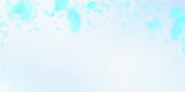 Turkuaz çiçek yaprakları dökülüyor. Bunaltıcı.