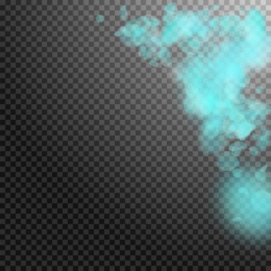 Turkuaz çiçek yaprakları dökülüyor. Güzel Ro