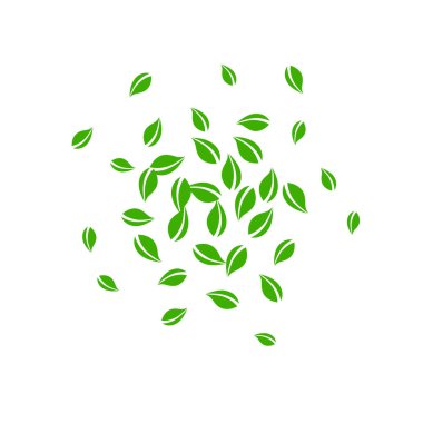 Düşen yeşil yapraklar. Taze çay rastgele yapraklar uçuşuyor