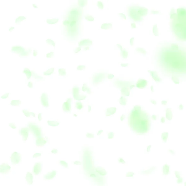Groene bloemblaadjes vallen naar beneden. Bewonderenswaardig rommelig middel — Stockvector
