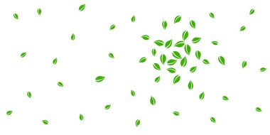 Düşen yeşil yapraklar. Taze çay rastgele yapraklar uçuşuyor