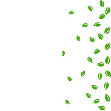 Düşen yeşil yapraklar. Taze çay rastgele yapraklar uçuşuyor