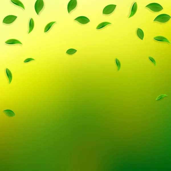 Hojas verdes cayendo. Té fresco hojas al azar flyi — Archivo Imágenes Vectoriales