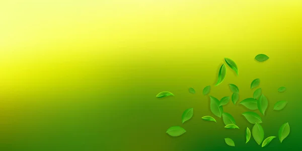Foglie verdi cadenti. Foglie caotiche di tè fresco volare — Vettoriale Stock