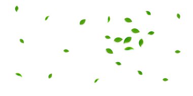 Düşen yeşil yapraklar. Taze çay rastgele yapraklar uçuşuyor