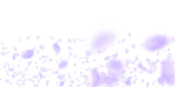 Violette bloemblaadjes vallen naar beneden. Mesisch rommig middel — Stockvector