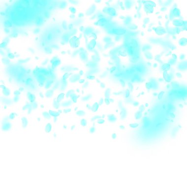 Turkuaz çiçek yaprakları dökülüyor. Şık romantik çiçek gradyanı. Beyaz kare arka planda uçan taç yaprakları. Aşk, romantizm kavramı. Hoş bir düğün davetiyesi..