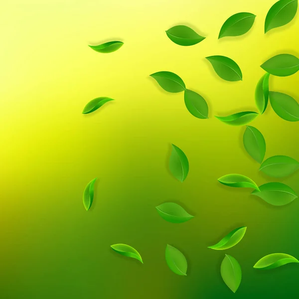 Folhas Verdes Cair Chá Fresco Folhas Puras Voando Folhagem Primavera — Vetor de Stock