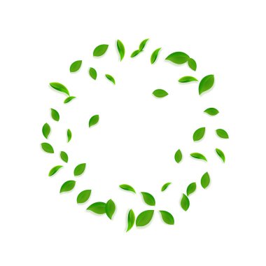 Düşen yeşil yapraklar. Kaotik taze çay yaprakları uçuşuyor. Beyaz arka planda bahar yaprakları dans ediyor. Çok güzel bir yaz şablonu. Duygusal bahar satışı vektör illüstrasyonu.