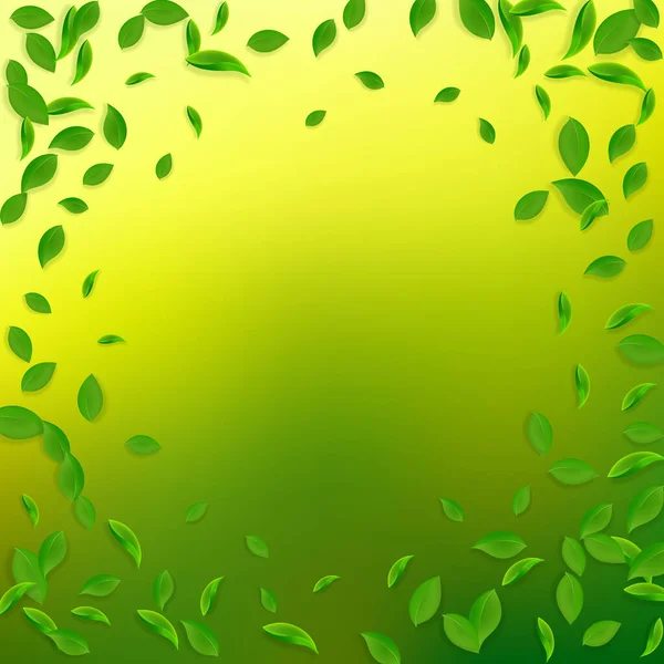 Falling Green Leaves Fresh Tea Chaotic Leaves Flying Spring Foliage — Stock Vector
