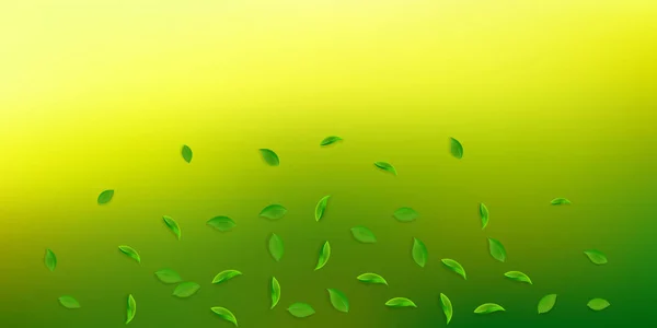 Падає Зелене Листя Свіжий Чай Випадкове Листя Літає Весняне Листя — стоковий вектор