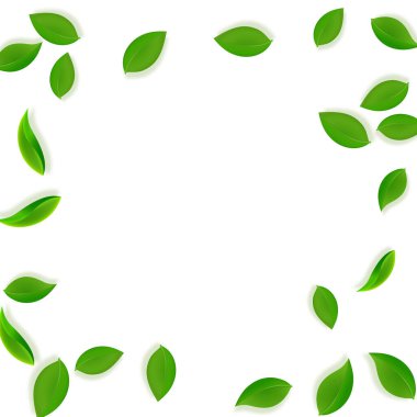 Düşen yeşil yapraklar. Taze çay, temiz yapraklar uçuşuyor. Beyaz arka planda bahar yaprakları dans ediyor. Yaz şablonu cezbedici. Uygun bahar satışı vektör illüstrasyonu.