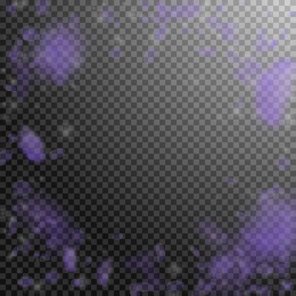 Фіолетові Пелюстки Квітів Падають Вниз Фантастичні Романтичні Квіти Віньєтка Літаюча — стоковий вектор