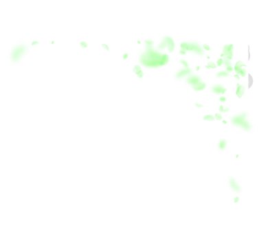 Yeşil çiçek yaprakları dökülüyor. Enfes romantik çiçek köşesi. Beyaz kare arka planda uçan taç yaprakları. Aşk, romantizm kavramı. Harika bir düğün davetiyesi..