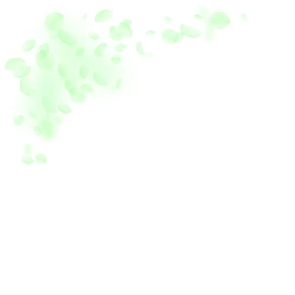 Зелені Пелюстки Квітів Падають Вниз Мезонімічні Романтичні Квіти Літаюча Пелюстка — стоковий вектор