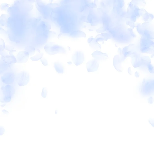 Pétales Fleurs Bleu Clair Tombant Superbes Fleurs Romantiques Tombant Sous — Image vectorielle