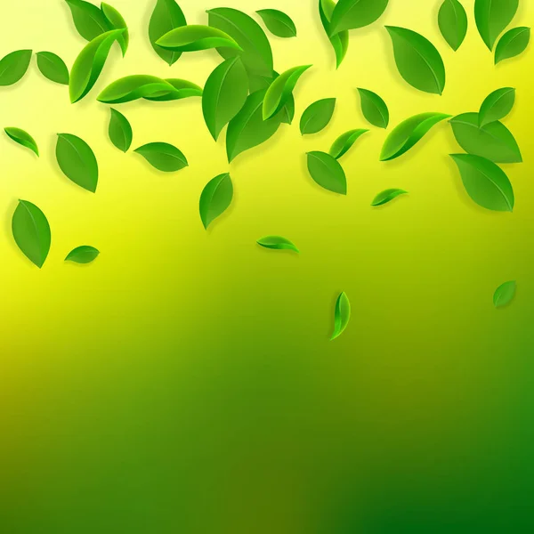 Падає Зелене Листя Свіже Чайне Хаотичне Листя Літає Весняне Листя — стоковий вектор