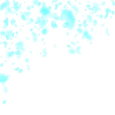 Turkuaz çiçek yaprakları dökülüyor. Olağanüstü romantik çiçekler yağmur gibi yağıyor. Beyaz kare arka planda uçan taç yaprakları. Aşk, romantizm kavramı. Güzel düğün davetiyesi.