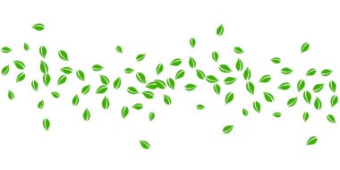 Düşen yeşil yapraklar. Taze çay, rastgele uçuşan yapraklar. Beyaz arka planda bahar yaprakları dans ediyor. Eğlenceli bir yaz şablonu. Nefes kesici bahar satışı vektör çizimi.