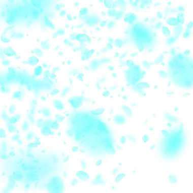 Turkuaz çiçek yaprakları dökülüyor. Klasik romantik çiçek gradyanı. Beyaz kare arka planda uçan taç yaprakları. Aşk, romantizm kavramı. Güzel bir düğün davetiyesi..