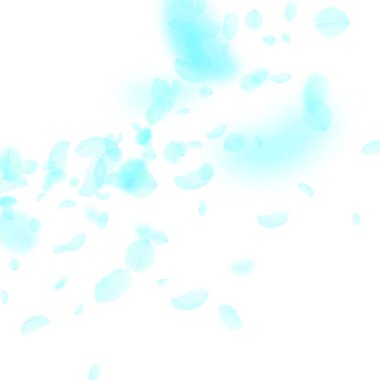 Turkuaz çiçek yaprakları dökülüyor. Memnun edici romantik çiçek köşesi. Beyaz kare arka planda uçan taç yaprakları. Aşk, romantizm kavramı. Canlı düğün davetiyesi.