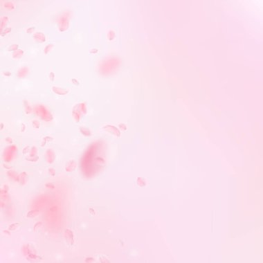 Sakura yaprakları dökülüyor. Romantik pembe çiçek gradyanı. Pembe kare arka planda uçan taç yaprakları. Aşk, romantizm kavramı. Harika bir düğün davetiyesi.