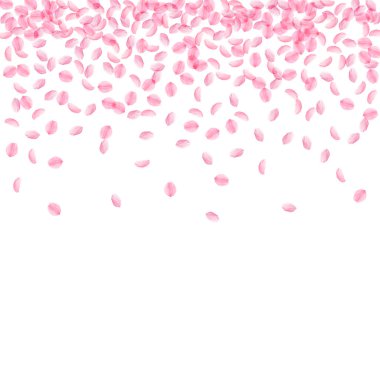 Sakura yaprakları dökülüyor. Romantik pembe ipeksi küçük çiçekler. Kalın uçan kiraz yaprakları. Üst gradyan en yüksek vektör arkaplanını dağıt. Aşk, sevgi, romantizm konsepti.