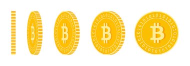 Bitcoin, internet para setleri, animasyon hazır. BTC sarı sikkeler dönüyor. Şifreli para, farklı pozisyonlarda dijital metal para izole edilmiş. Çizgi film vektör illüstrasyonu büyüleyici.