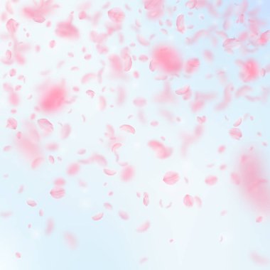 Sakura yaprakları dökülüyor. Romantik pembe çiçek gradyanı. Mavi gökyüzü kare arka planında uçan taç yaprakları. Aşk, romantizm kavramı. Harika bir düğün davetiyesi..