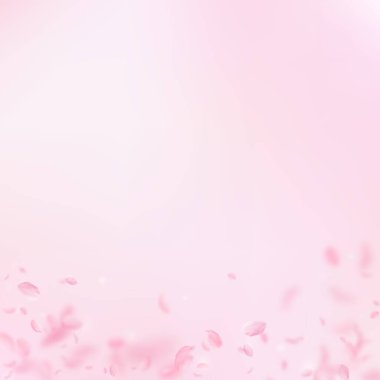 Sakura yaprakları dökülüyor. Romantik pembe çiçek gradyanı. Pembe kare arka planda uçan taç yaprakları. Aşk, romantizm kavramı. Büyüleyici düğün davetiyesi..