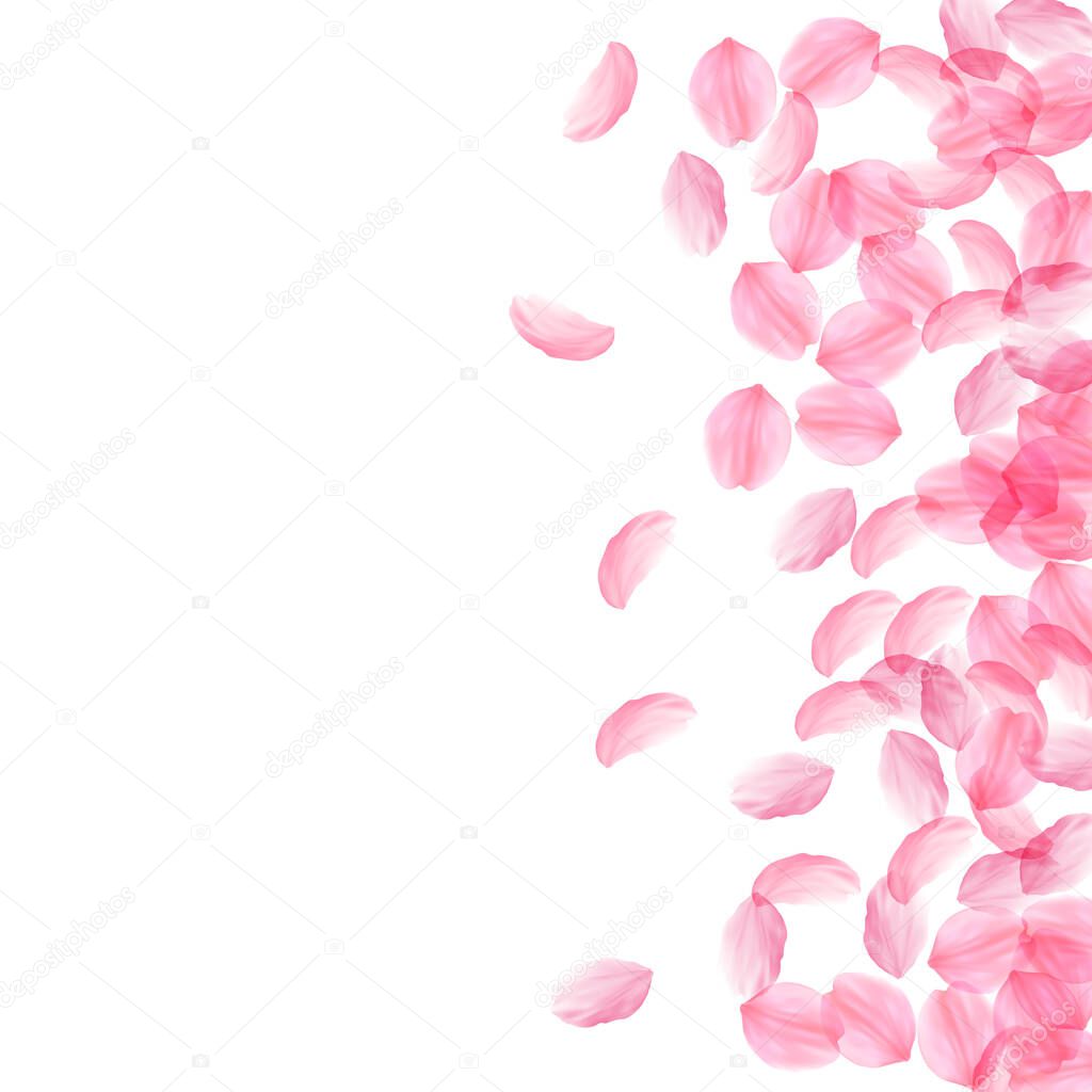 Sakura petals falling down. Romantic pink silky big flowers. Thick flying cherry petals. Scatter right gradient ravishing vector background. Love, affection, romance concept.