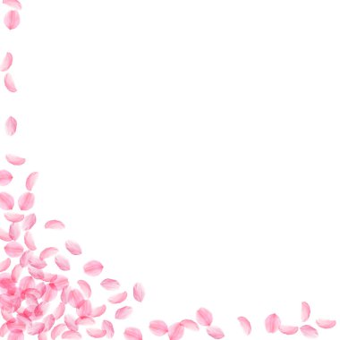 Sakura yaprakları dökülüyor. Romantik pembe ipeksi orta boy çiçekler. Kalın uçan kiraz yaprakları. Sol alttaki kare göz kamaştırıcı vektör arkaplanı. Aşk, sevgi, romantizm konsepti.