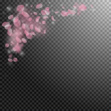 Sakura yaprakları dökülüyor. Romantik pembe çiçek köşesi. Şeffaf kare arka planda uçan taç yaprakları. Aşk, romantizm kavramı. Egzotik düğün davetiyesi.