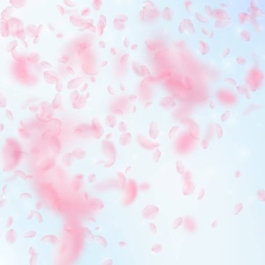 Sakura yaprakları dökülüyor. Romantik pembe çiçek gradyanı. Mavi gökyüzü kare arka planında uçan taç yaprakları. Aşk, romantizm kavramı. Otantik düğün davetiyesi.