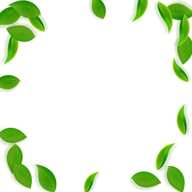 Düşen yeşil yapraklar. Taze çay, temiz yapraklar uçuşuyor. Beyaz arka planda bahar yaprakları dans ediyor. Yaz şablonu cezbedici. Olağanüstü bahar satışı vektör illüstrasyonu.